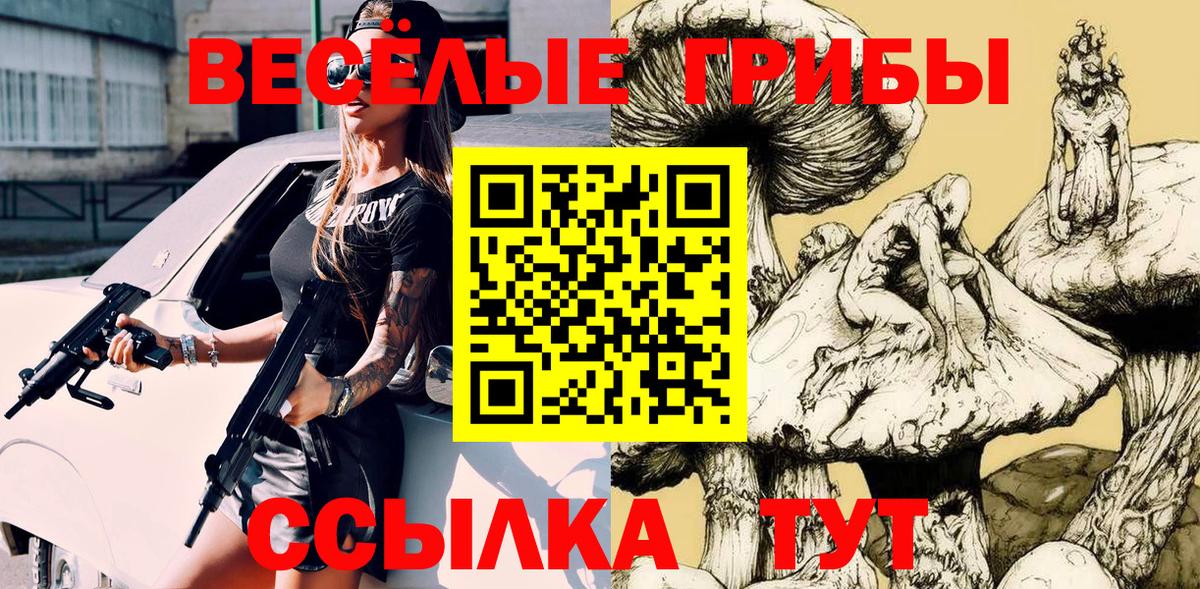 Псилоцибиновые грибы Psilocybine cubensis  Вход с VPN  цена   Горячий Ключ 